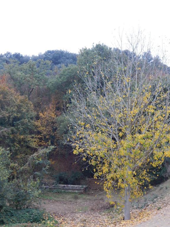 Casa Canut Tartareu Екстер'єр фото
